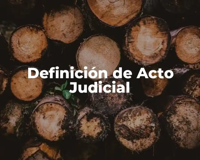 Definición de Acto Judicial