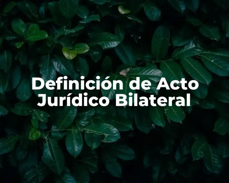 Definición de Acto Jurídico Bilateral
