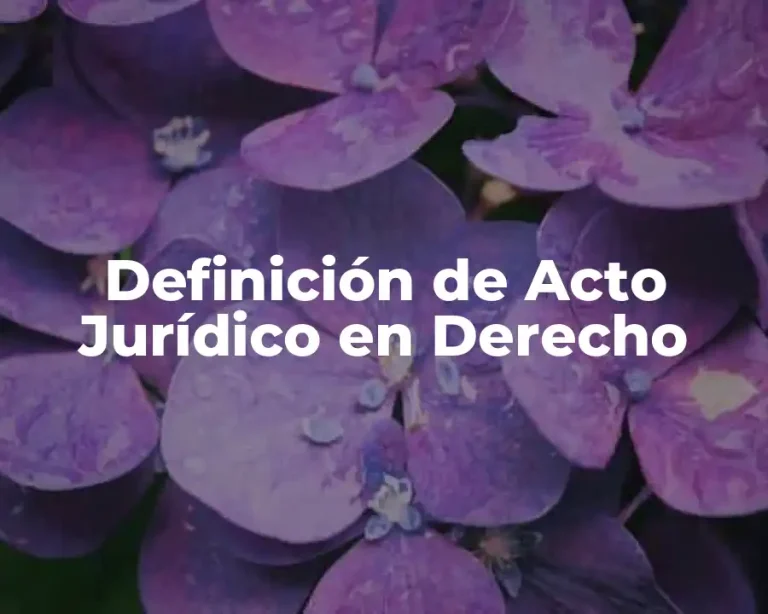 Definición de Acto Jurídico en Derecho