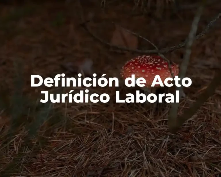 Definición de Acto Jurídico Laboral