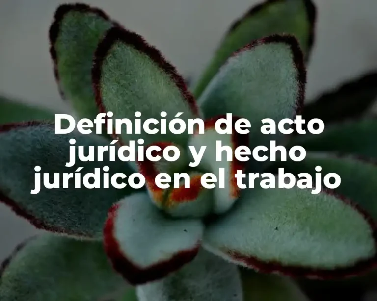 Definición de acto jurídico y hecho jurídico en el trabajo