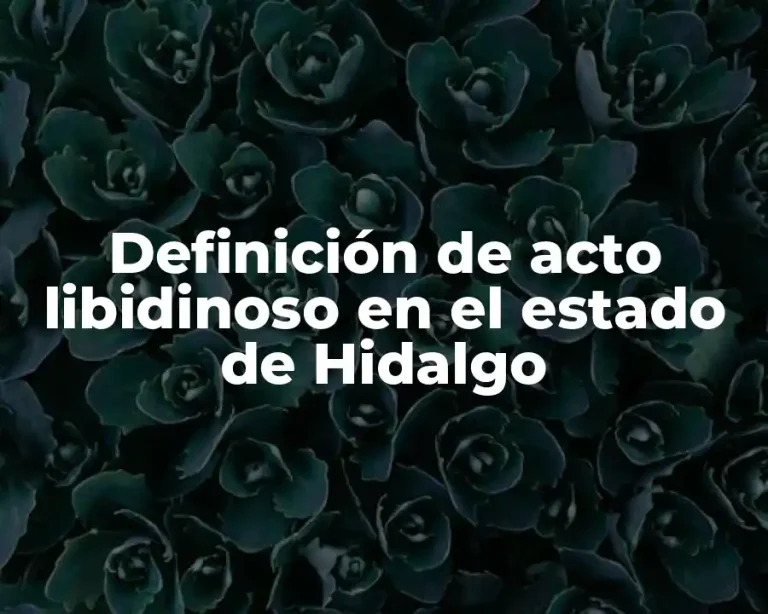 Definición de acto libidinoso en el estado de Hidalgo