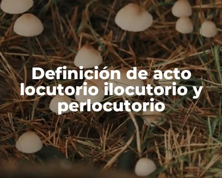 Definición de acto locutorio ilocutorio y perlocutorio