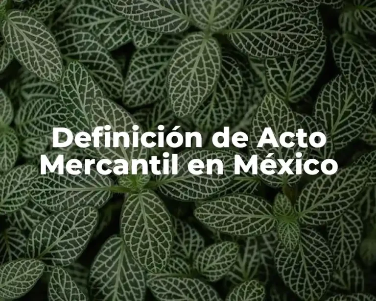 Definición de Acto Mercantil en México