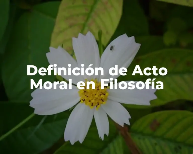 Definición de Acto Moral en Filosofía
