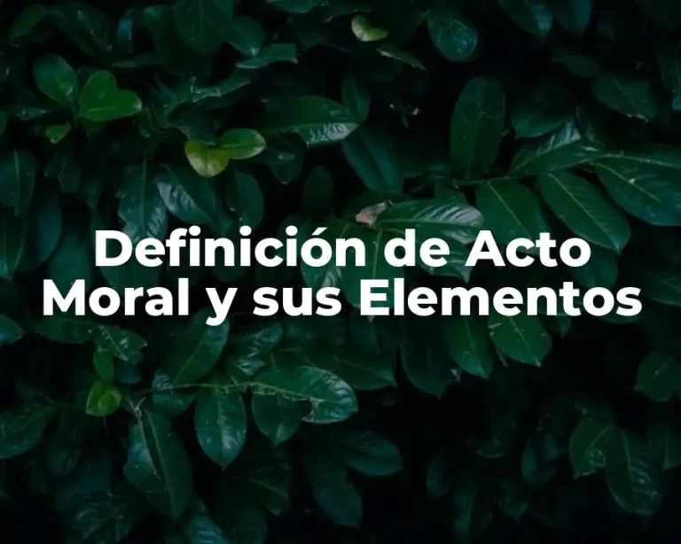 Definición de Acto Moral y sus Elementos