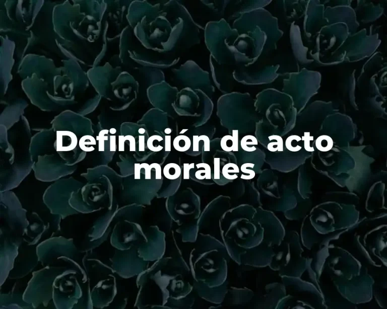 Definición de acto morales