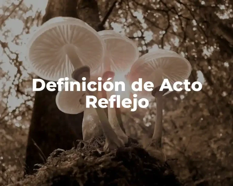 Definición de Acto Reflejo