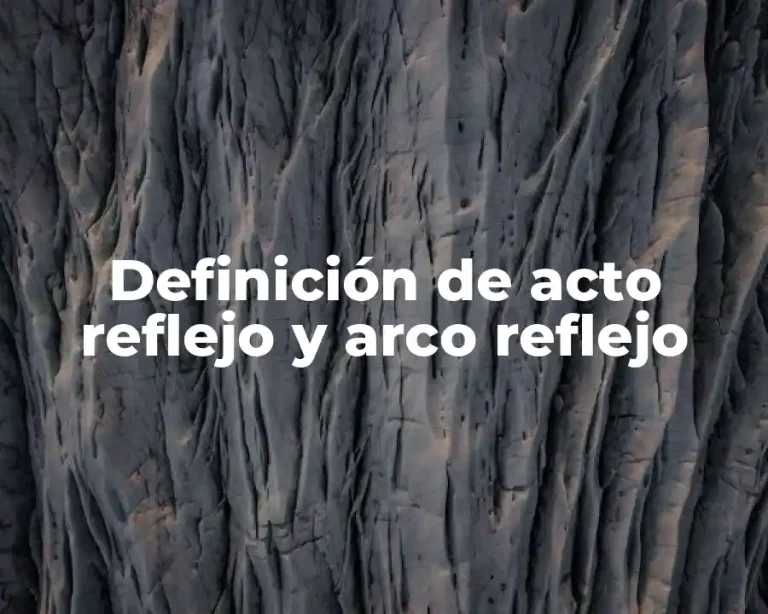 Definición de acto reflejo y arco reflejo
