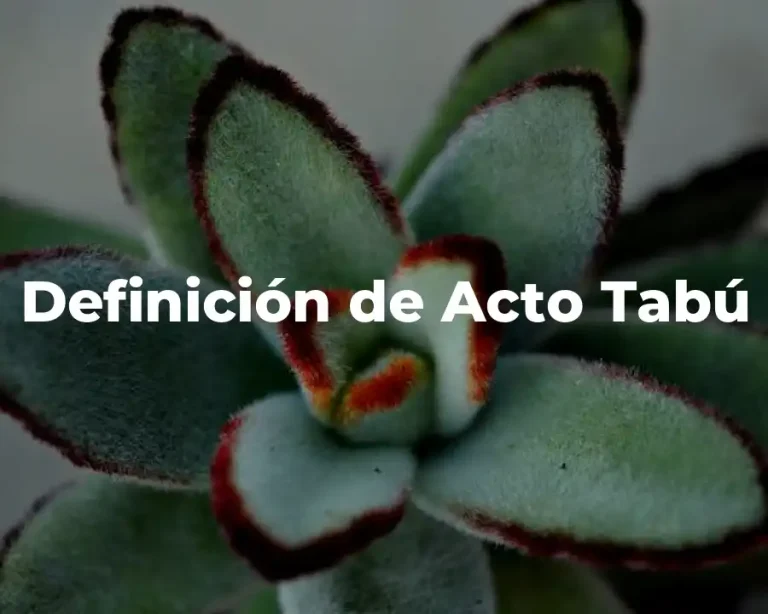 Definición de Acto Tabú