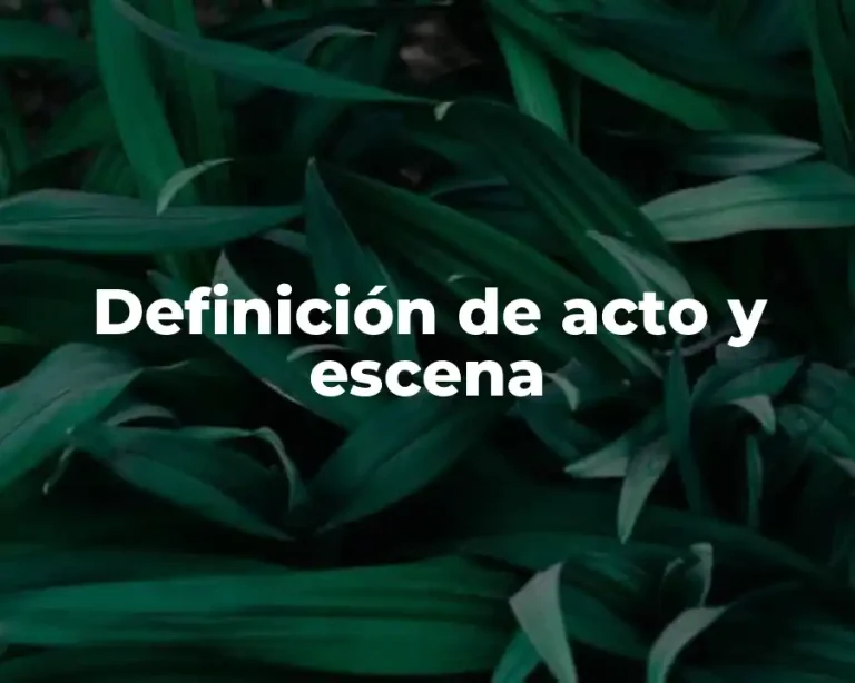 Definición de acto y escena