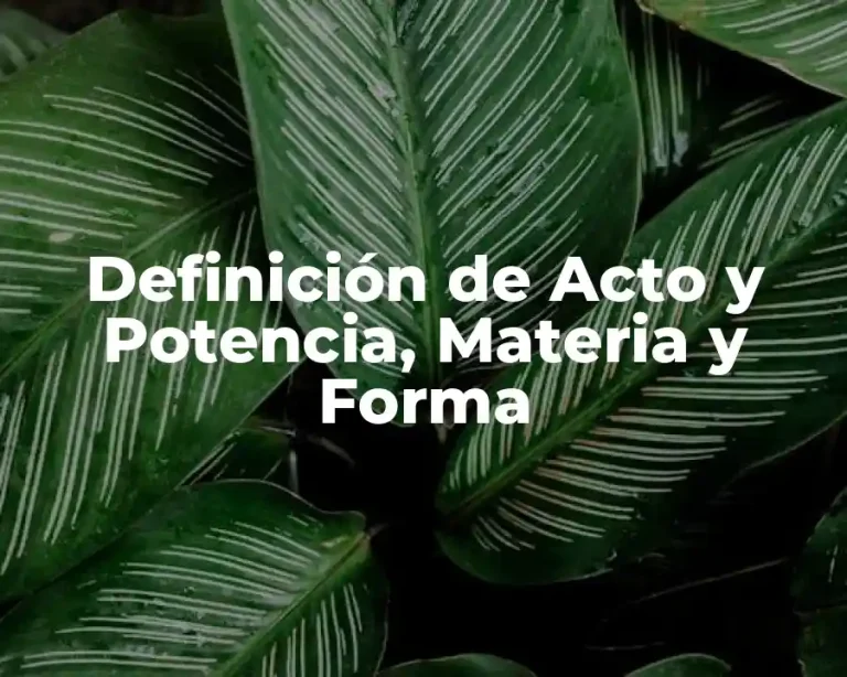 Definición de Acto y Potencia, Materia y Forma