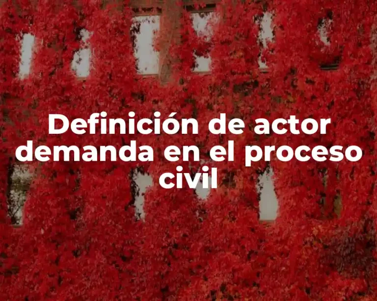 Definición de actor demanda en el proceso civil