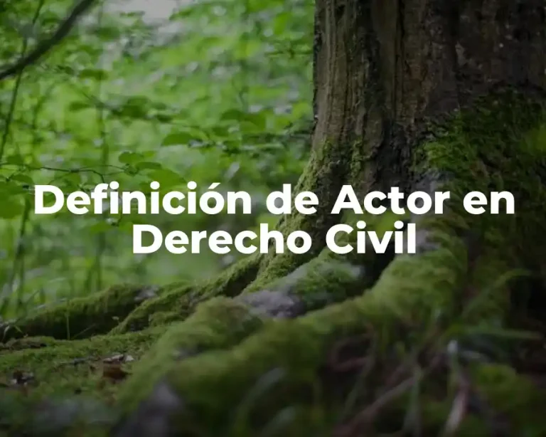 Definición de Actor en Derecho Civil