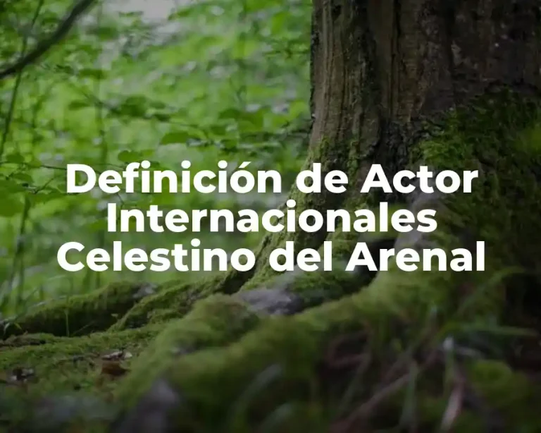 Definición de Actor Internacionales Celestino del Arenal