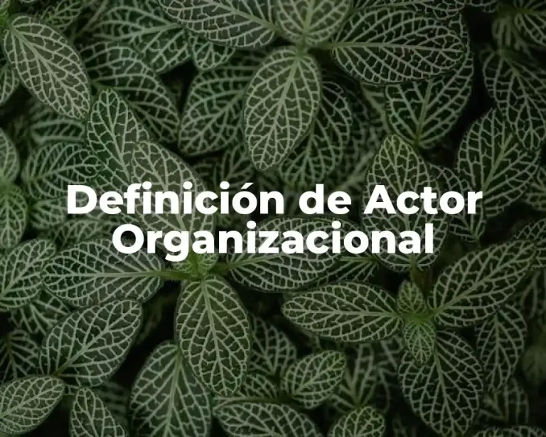 Definición de Actor Organizacional