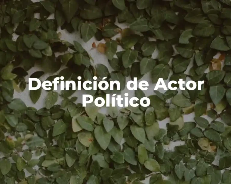 Definición de Actor Político
