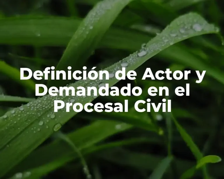 Definición de Actor y Demandado en el Procesal Civil