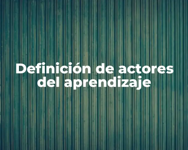 Definición de actores del aprendizaje