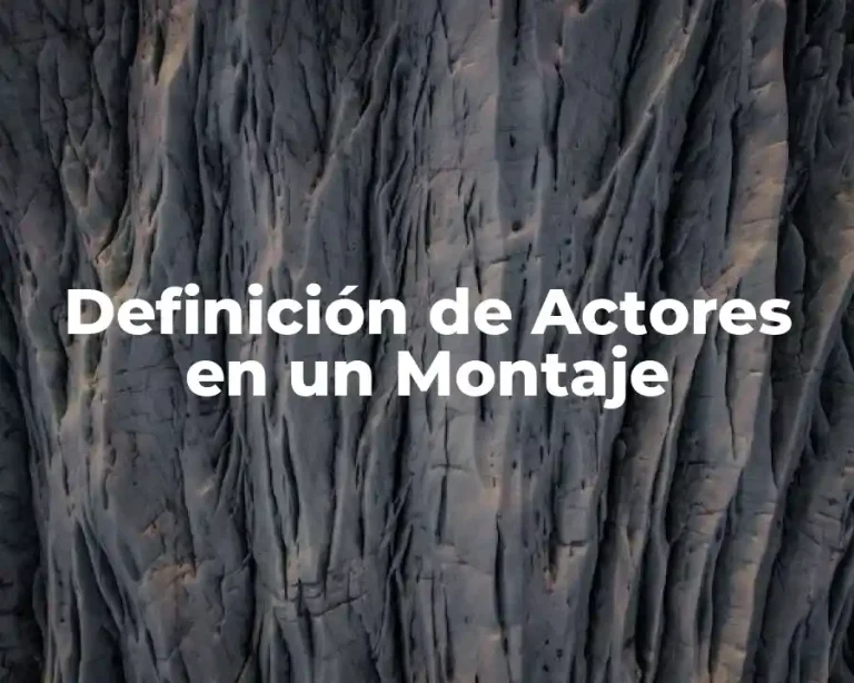 Definición de Actores en un Montaje