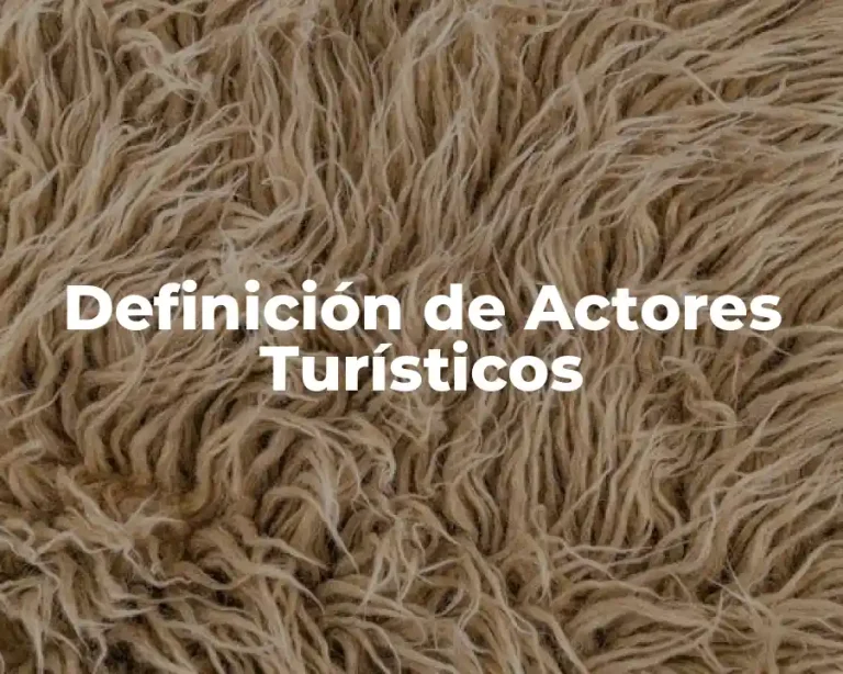 Definición de Actores Turísticos