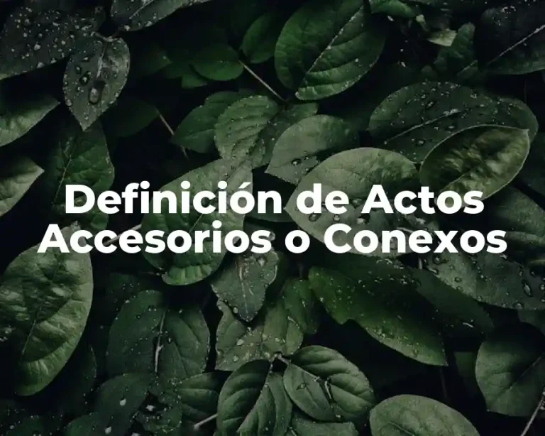 Definición de Actos Accesorios o Conexos