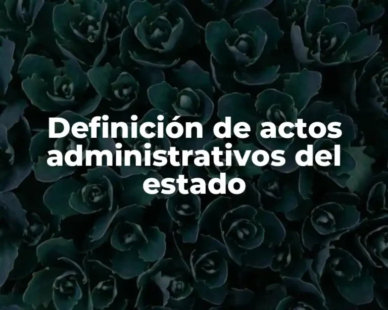 Definición de actos administrativos del estado