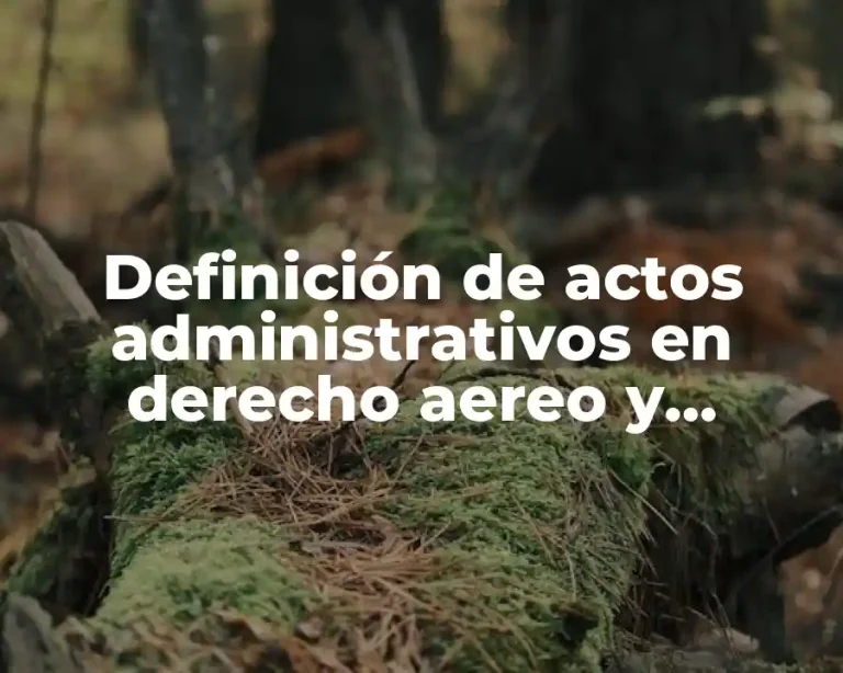 Definición de actos administrativos en derecho aereo y espacial