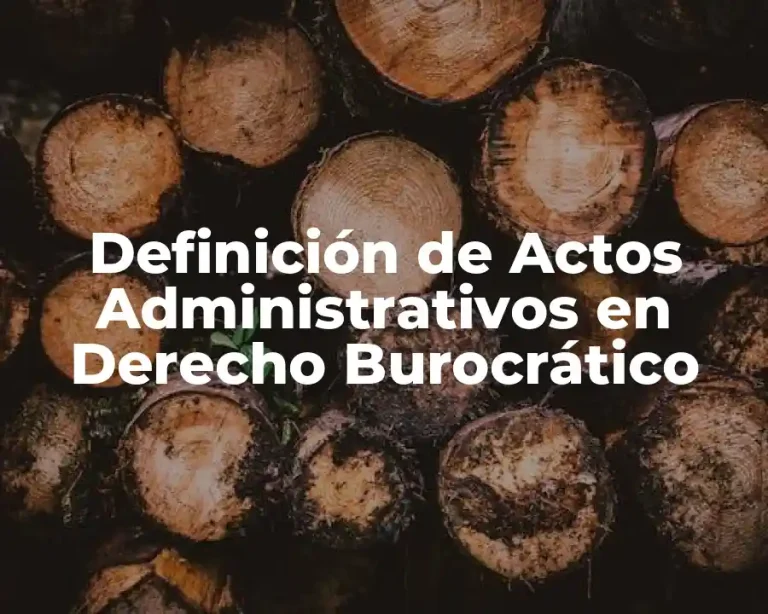 Definición de Actos Administrativos en Derecho Burocrático