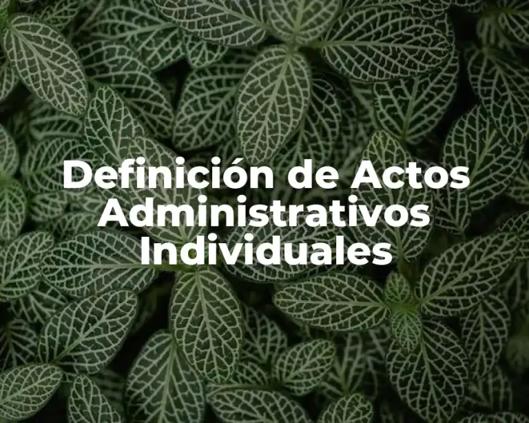 Definición de Actos Administrativos Individuales