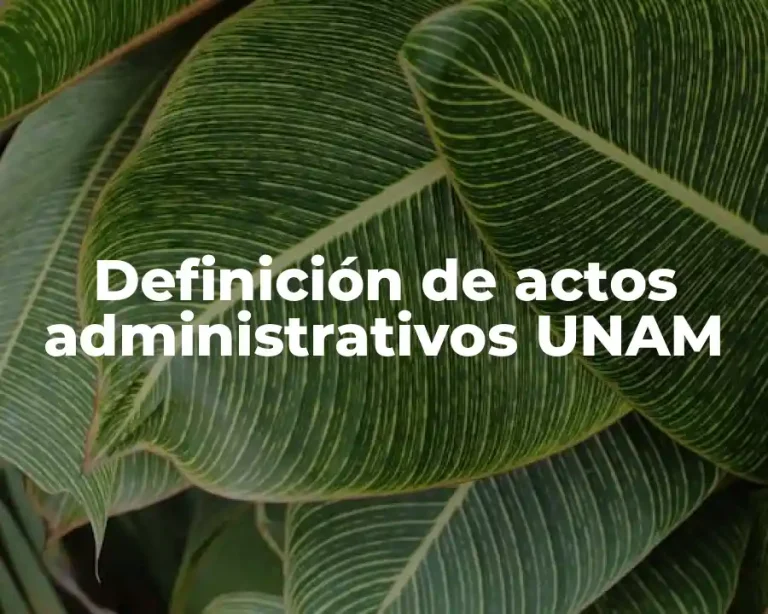 Definición de actos administrativos UNAM