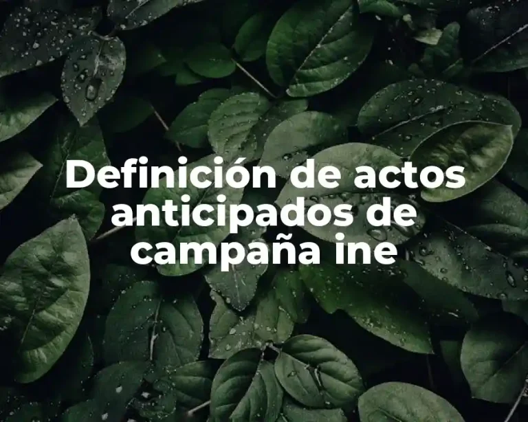 Definición de actos anticipados de campaña ine