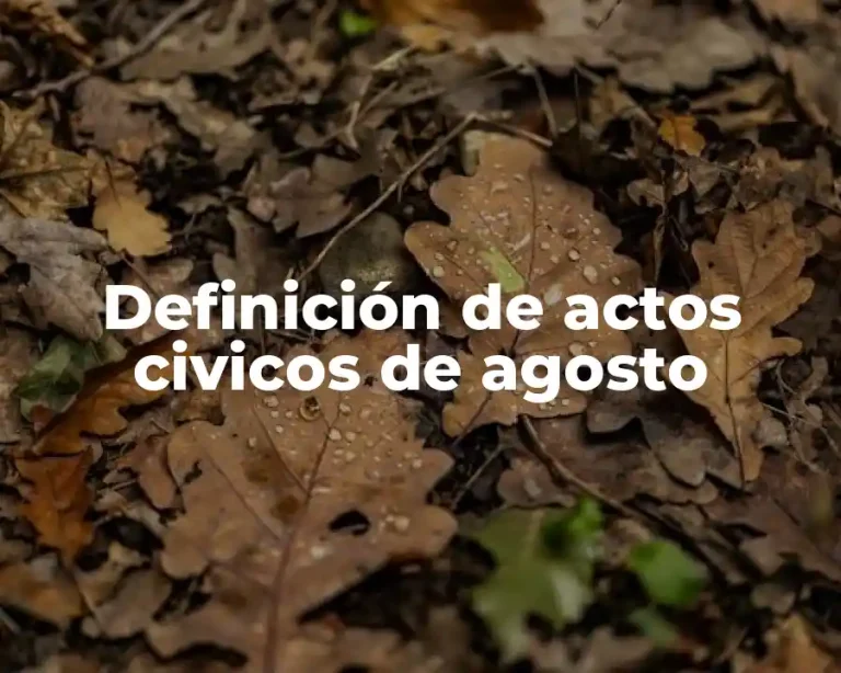 Definición de actos civicos de agosto