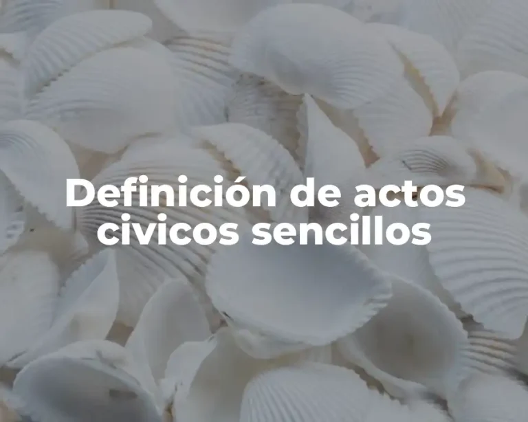 Definición de actos civicos sencillos