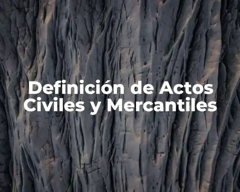 Definición de Actos Civiles y Mercantiles