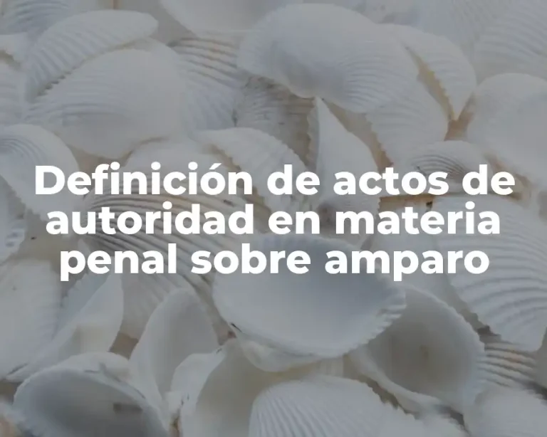 Definición de actos de autoridad en materia penal sobre amparo