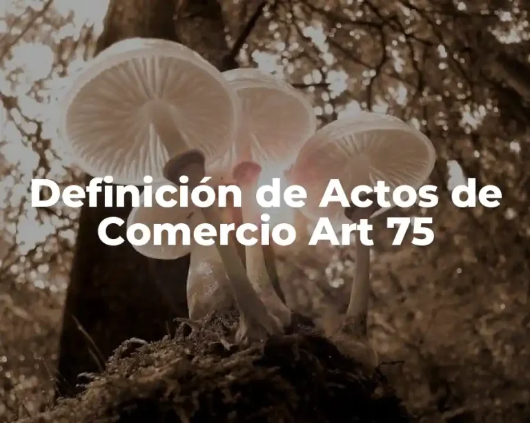 Definición de Actos de Comercio Art 75