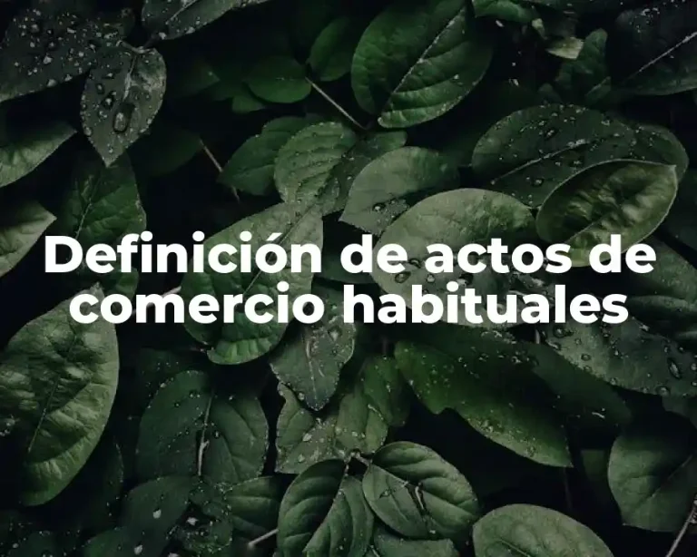 Definición de actos de comercio habituales