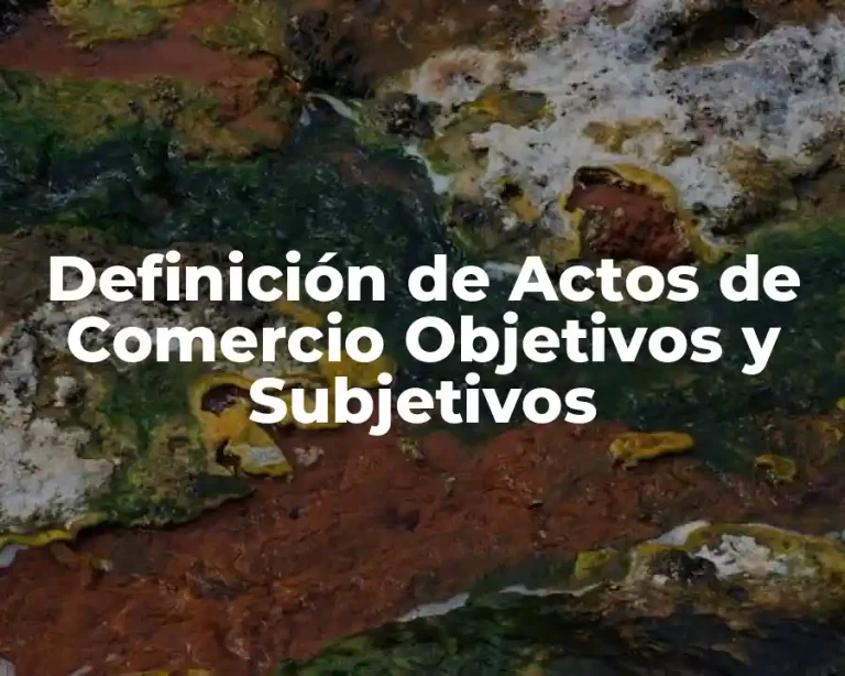 Definición de Actos de Comercio Objetivos y Subjetivos