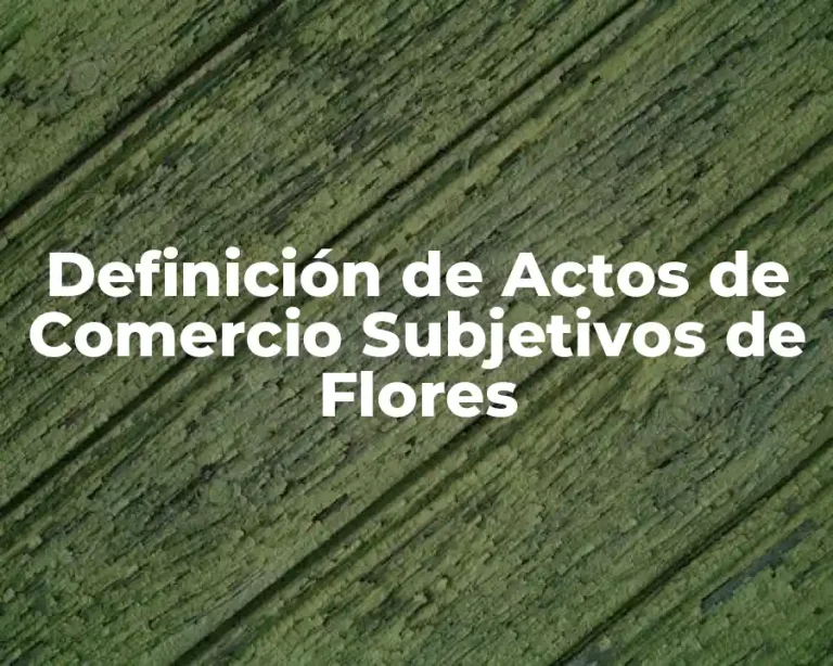 Definición de Actos de Comercio Subjetivos de Flores