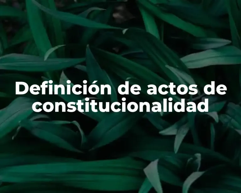 Definición de actos de constitucionalidad