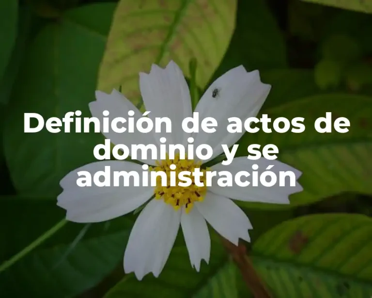 Definición de actos de dominio y se administración