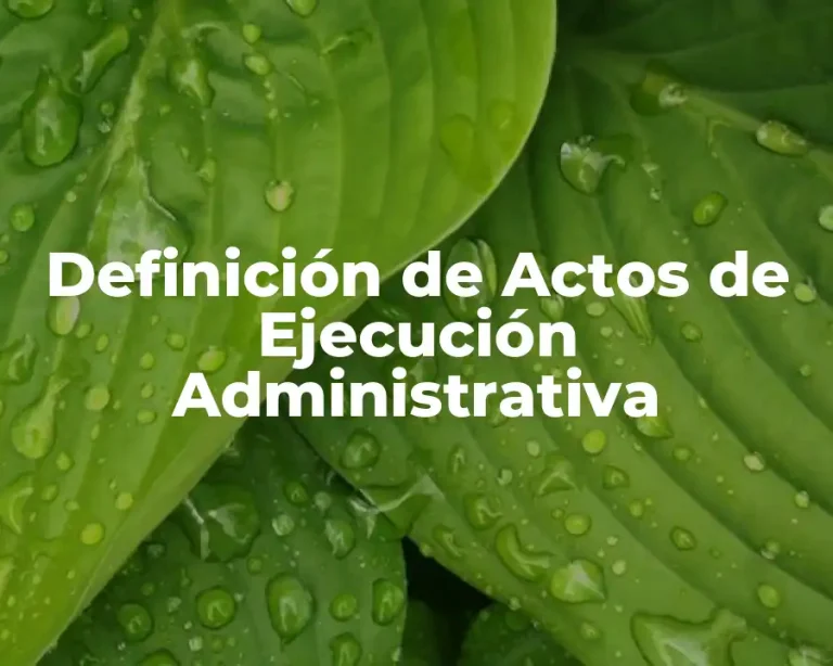 Definición de Actos de Ejecución Administrativa