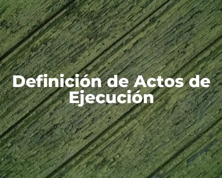Definición de Actos de Ejecución