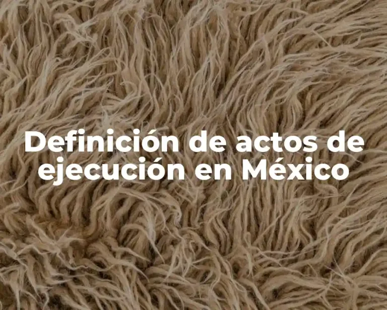 Definición de actos de ejecución en México