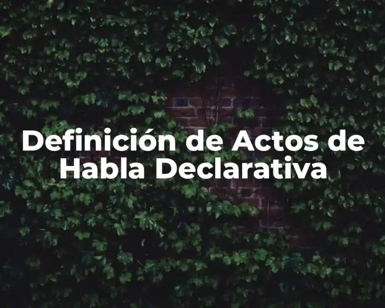Definición de Actos de Habla Declarativa