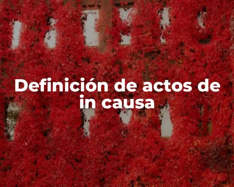 Definición de actos de in causa