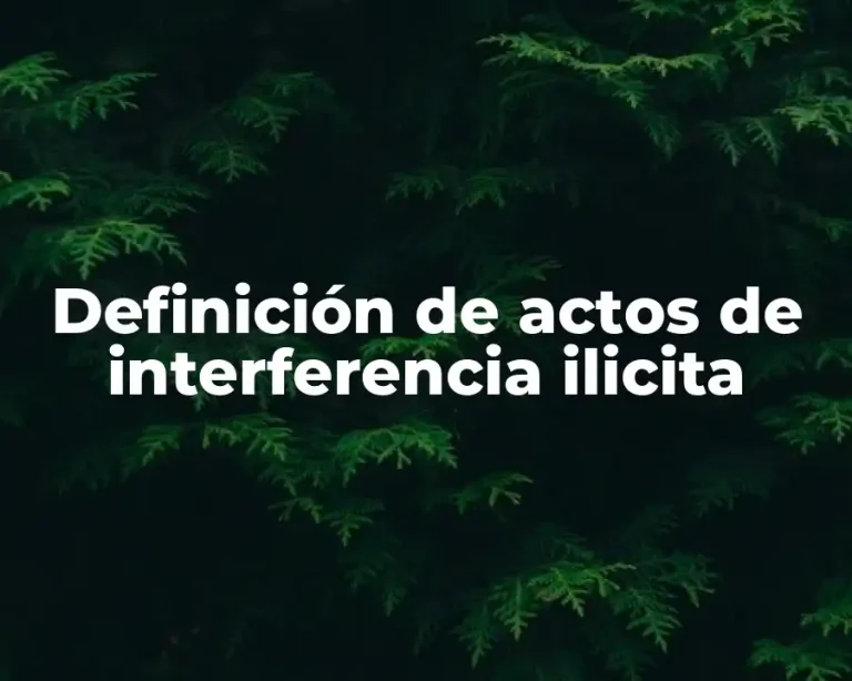 Definición de actos de interferencia ilicita