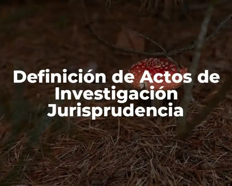 Definición de Actos de Investigación Jurisprudencia