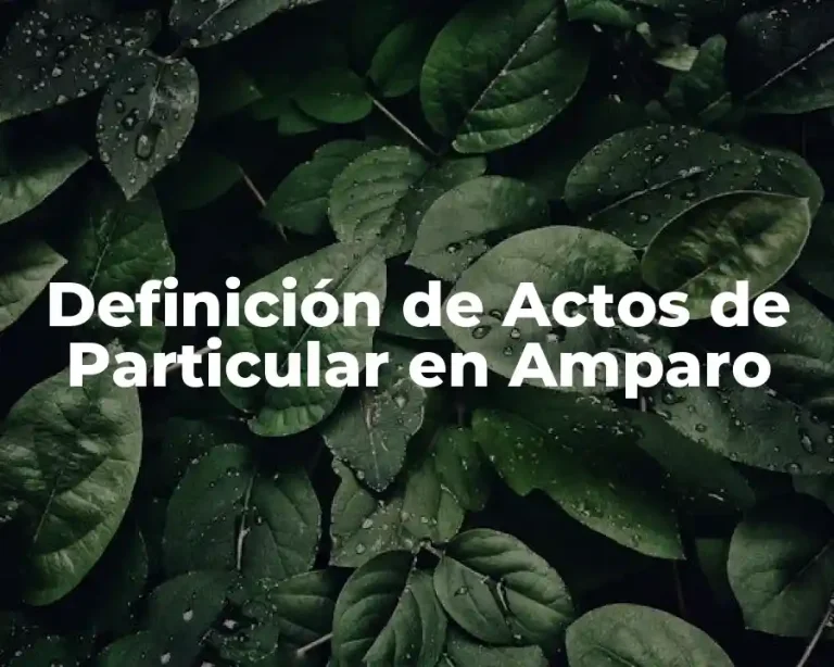 Definición de Actos de Particular en Amparo